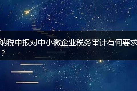 纳税申报对中小微企业税务审计有何要求？