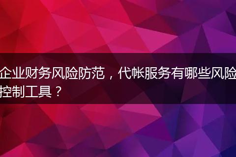 企业财务风险防范，代帐服务有哪些风险控制工具？