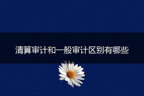 清算审计和一般审计区别有哪些