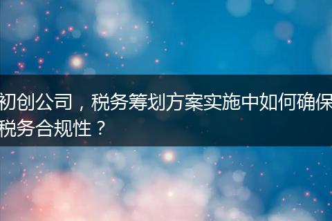 初创公司，税务筹划方案实施中如何确保税务合规性？