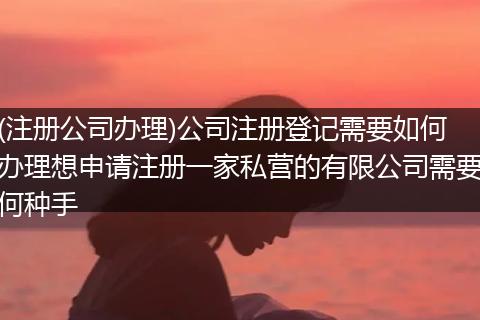 (注册公司办理)公司注册登记需要如何办理想申请注册一家私营的有限公司需要何种手