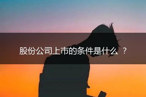 股份公司上市的条件是什么 ？