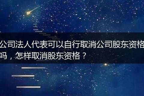 公司法人代表可以自行取消公司股东资格吗，怎样取消股东资格？