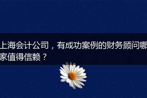 上海会计公司，有成功案例的财务顾问哪家值得信赖？