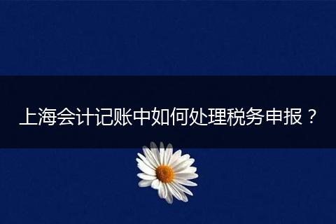 上海会计记账中如何处理税务申报？