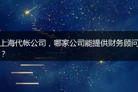 上海代帐公司，哪家公司能提供财务顾问？