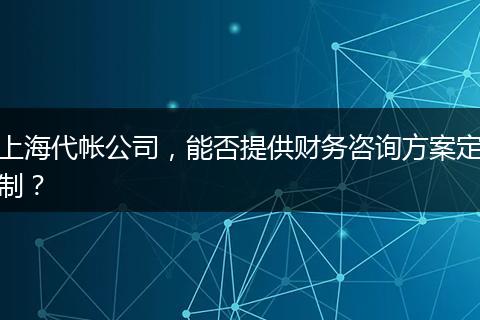 上海代帐公司，能否提供财务咨询方案定制？