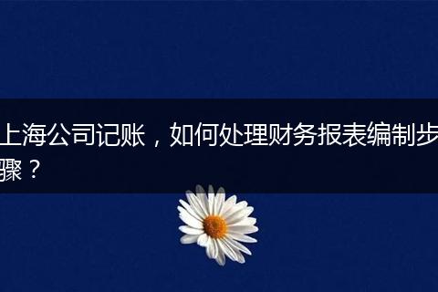 上海公司记账，如何处理财务报表编制步骤？