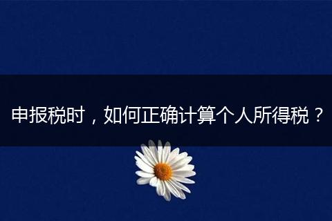 申报税时，如何正确计算个人所得税？