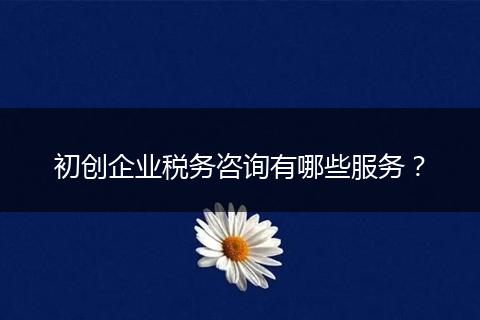 初创企业税务咨询有哪些服务？