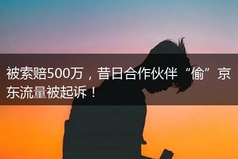 被索赔500万,昔日合作伙伴“偷”京东流量被起诉!