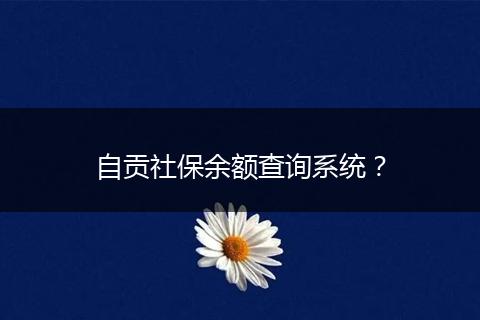 自贡社保余额查询系统？