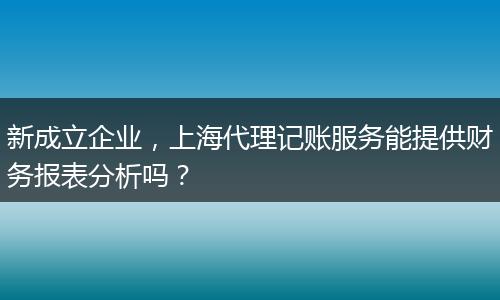 新成立企业，上海代理记账服务能提供财务报表分析吗？