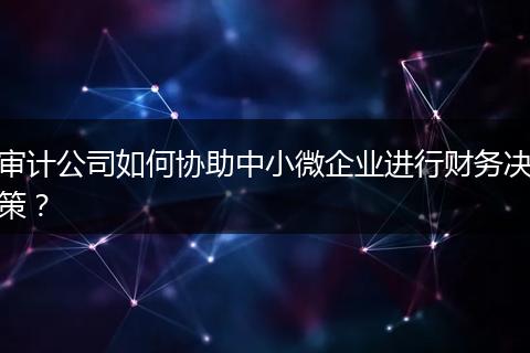 审计公司如何协助中小微企业进行财务决策？
