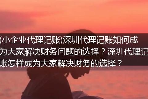 (小企业代理记账)深圳代理记账如何成为大家解决财务问题的选择？深圳代理记账怎样成为大家解决财务的选择？