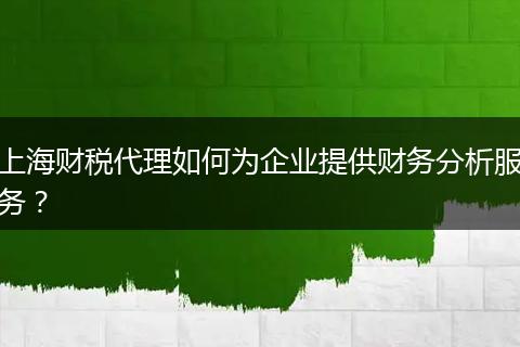 上海财税代理如何为企业提供财务分析服务？