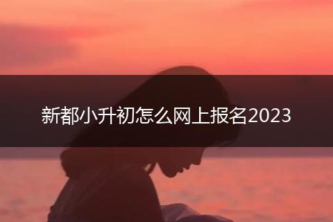新都小升初怎么网上报名2023