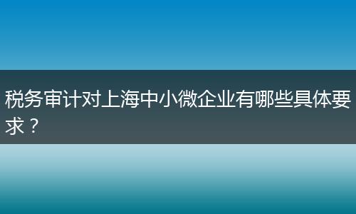 税务审计对上海中小微企业有哪些具体要求？