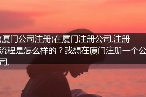 (厦门公司注册)在厦门注册公司,注册流程是怎么样的？我想在厦门注册一个公司,