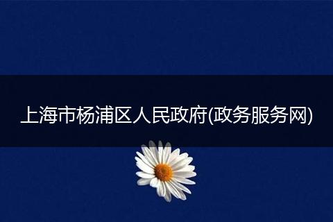 上海市杨浦区人民政府(政务服务网)