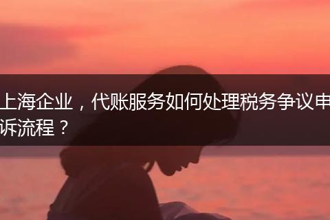 上海企业，代账服务如何处理税务争议申诉流程？