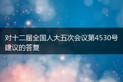 对十二届全国人大五次会议第4530号建议的答复