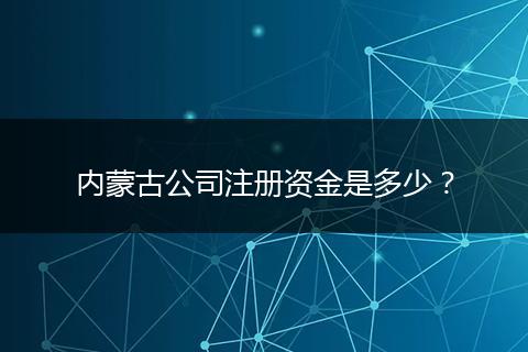 内蒙古公司注册资金是多少？