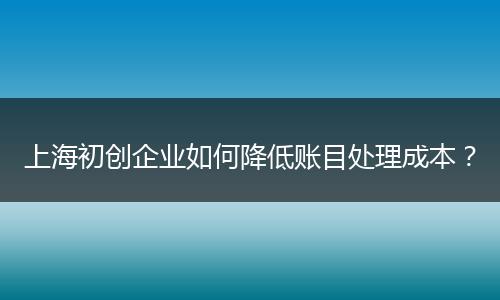 上海初创企业如何降低账目处理成本？