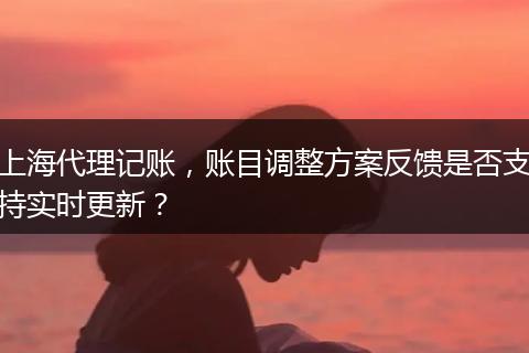 上海代理记账，账目调整方案反馈是否支持实时更新？