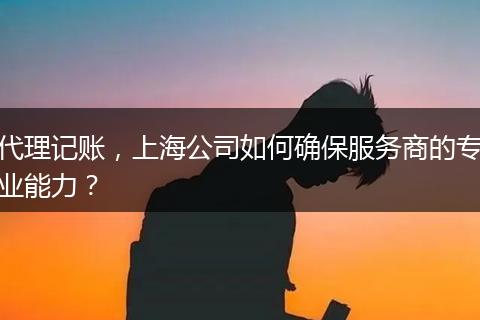 代理记账，上海公司如何确保服务商的专业能力？