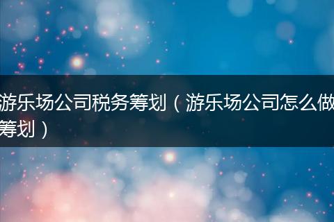 游乐场公司税务筹划（游乐场公司怎么做筹划）