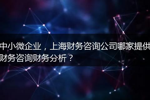 中小微企业，上海财务咨询公司哪家提供财务咨询财务分析？