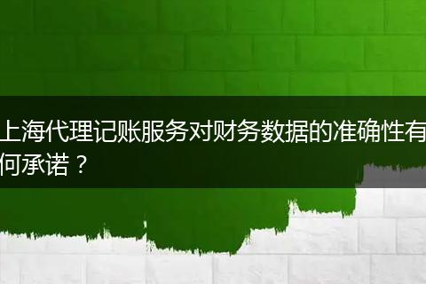上海代理记账服务对财务数据的准确性有何承诺？