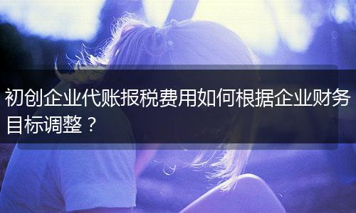 初创企业代账报税费用如何根据企业财务目标调整？