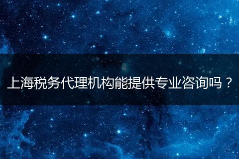 上海税务代理机构能提供专业咨询吗？