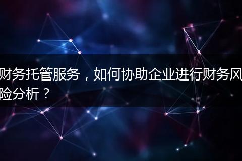 财务托管服务，如何协助企业进行财务风险分析？