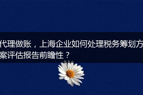 代理做账，上海企业如何处理税务筹划方案评估报告前瞻性？
