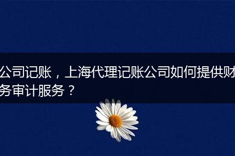 公司记账，上海代理记账公司如何提供财务审计服务？
