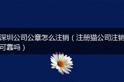 深圳公司公章怎么注销(注册猫公司注销可靠吗)