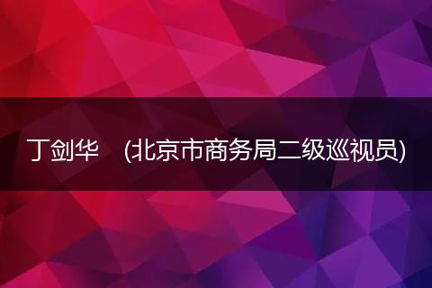 丁剑华　(北京市商务局二级巡视员)