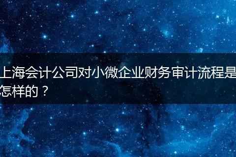 上海会计公司对小微企业财务审计流程是怎样的？