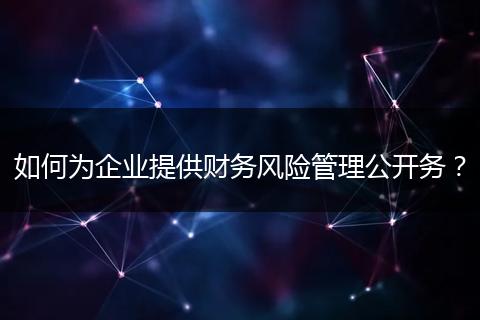 如何为企业提供财务风险管理公开务？