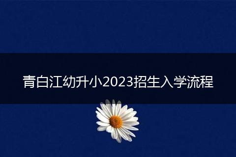 青白江幼升小2023招生入学流程