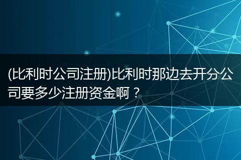 (比利时公司注册)比利时那边去开分公司要多少注册资金啊？
