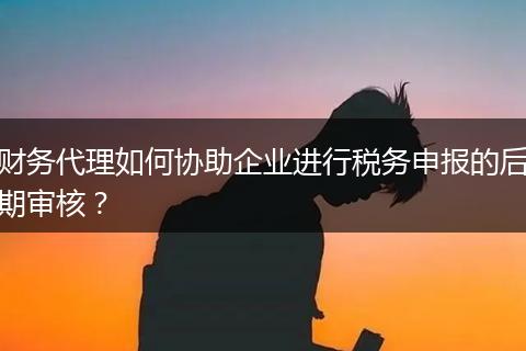 财务代理如何协助企业进行税务申报的后期审核？