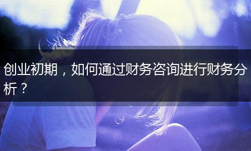 创业初期，如何通过财务咨询进行财务分析？