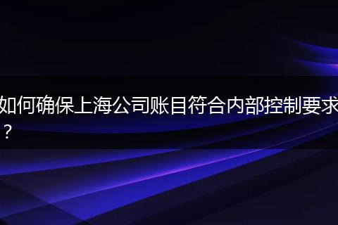 如何确保上海公司账目符合内部控制要求？
