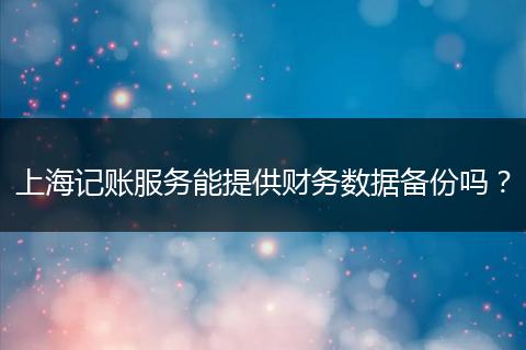 上海记账服务能提供财务数据备份吗？