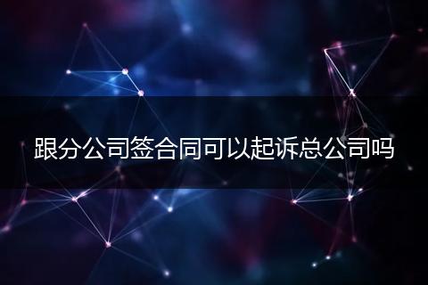跟分公司签合同可以起诉总公司吗