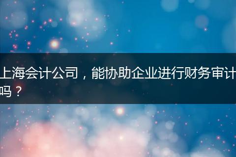 上海会计公司，能协助企业进行财务审计吗？